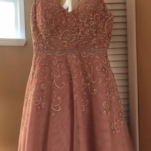 Meet your Posher, Kira